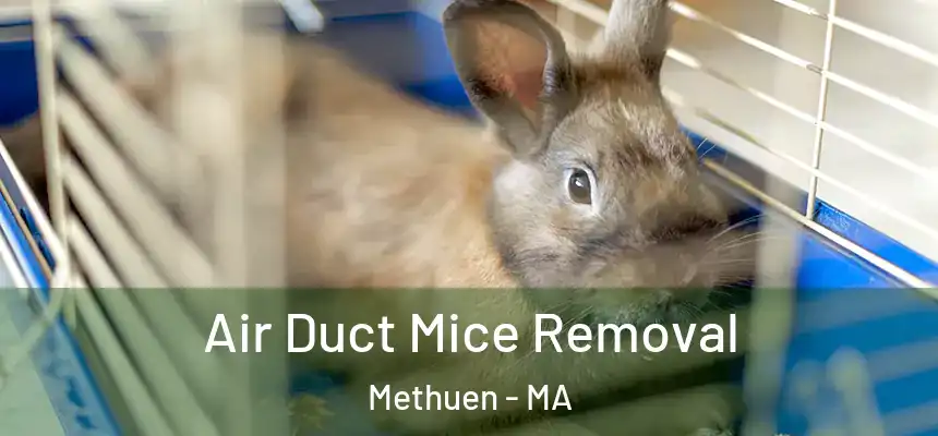 Air Duct Mice Removal Methuen - MA