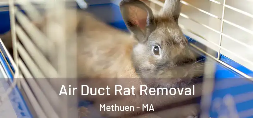 Air Duct Rat Removal Methuen - MA