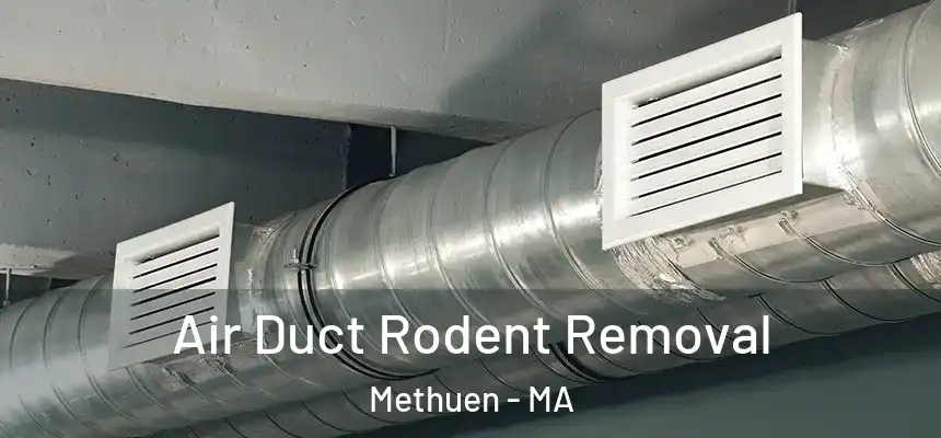 Air Duct Rodent Removal Methuen - MA