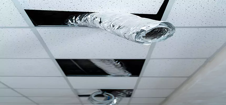 Affordable HVAC Sanitizing After Pest Removal in Methuen