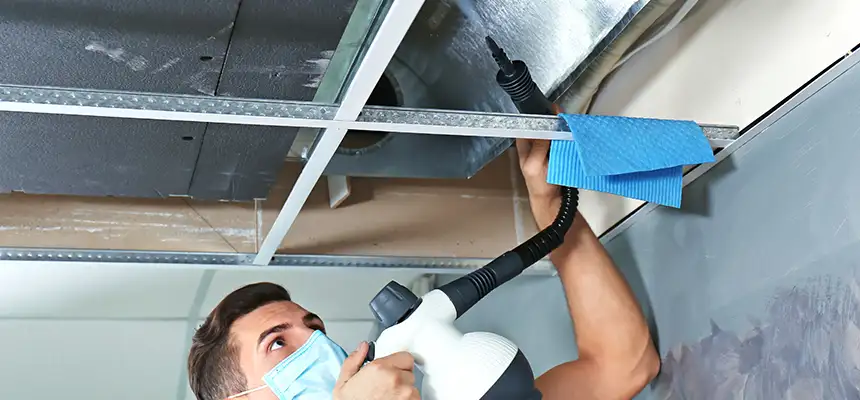 Our Air Duct Rodent Removal Services in Methuen, MA