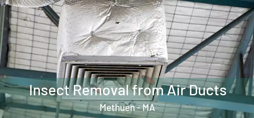 Insect Removal from Air Ducts Methuen - MA