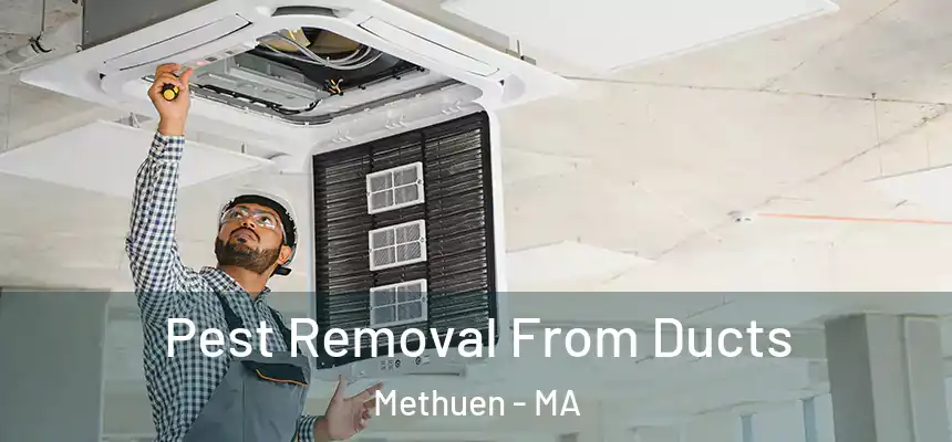 Pest Removal From Ducts Methuen - MA