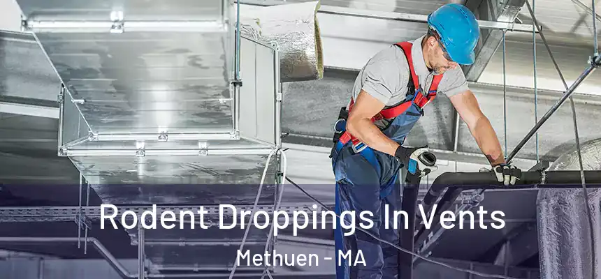  Rodent Droppings In Vents Methuen - MA