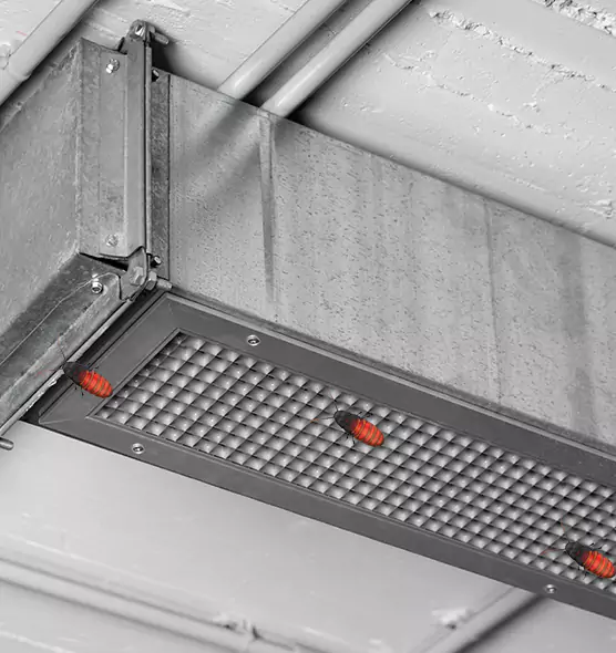 About Air Duct Cockroach Removal in Methuen, MA