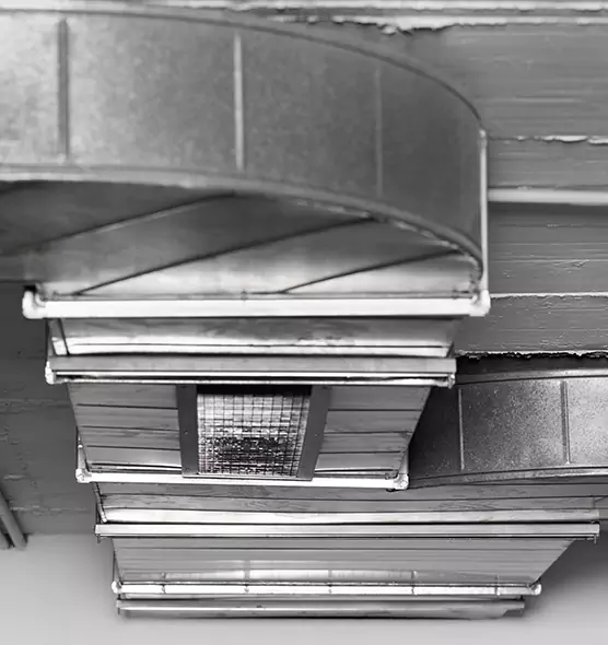 Professional Air Duct Pest Removal in Methuen, MA