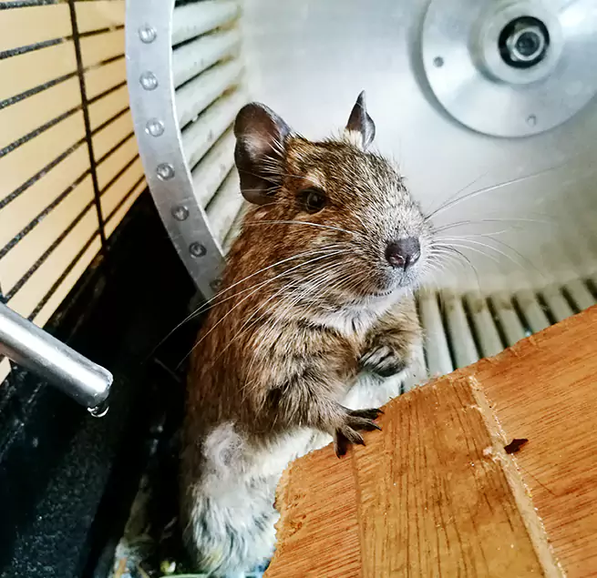 Why Homeowners & Businesses Trust Us Methuen, MA